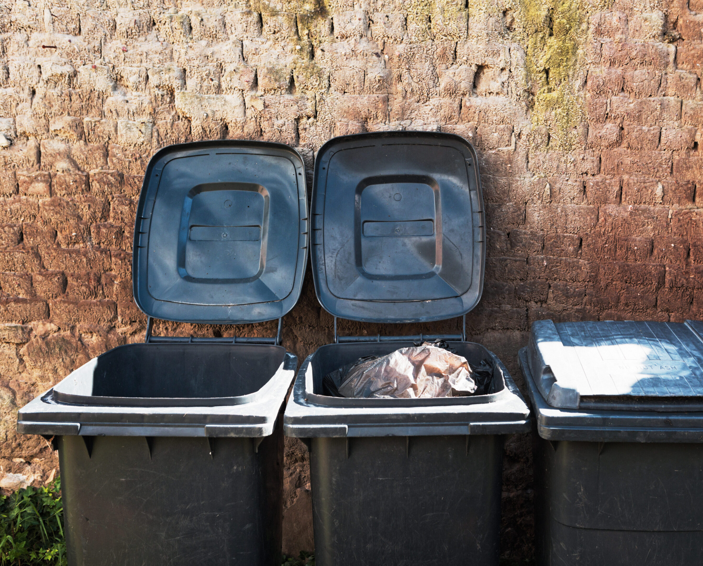 Garbage bins in an alley Wheelie bins with a splash of sunlight.